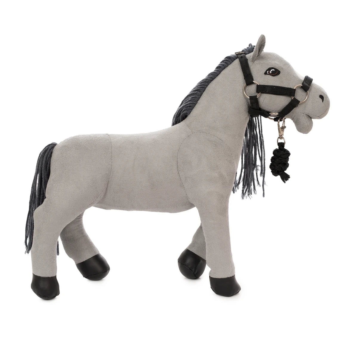 Paard Lucky